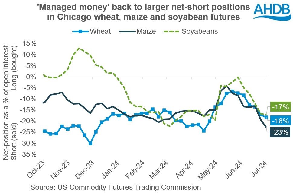 Chart showing the net positions held by managed money in Chicago wheat, maize and soyabean futures